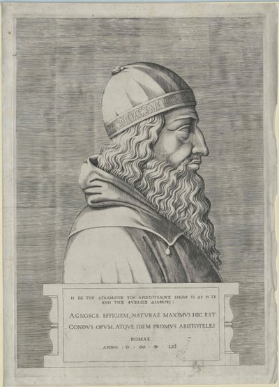 Aristotle by Artist Unknown