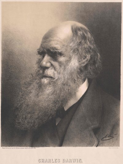Charles Darwin by Artist Unknown
