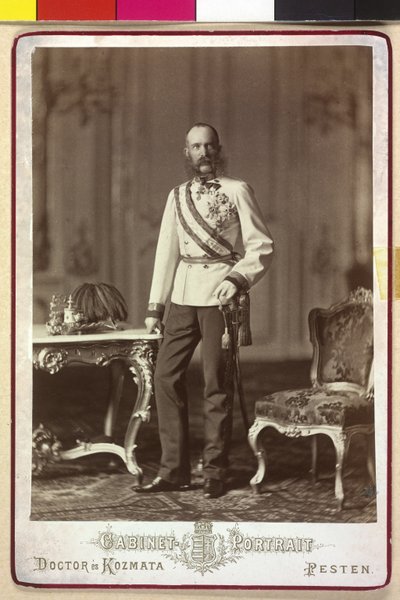 Franz Joseph I by Artist Unknown
