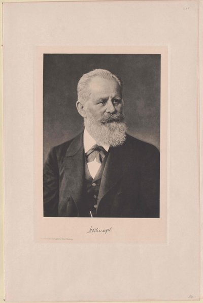 Hermann Nothnagel by Artist Unknown