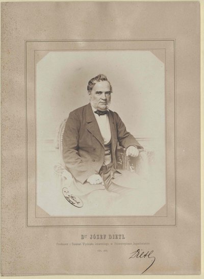 Joseph Dietl by Artist Unknown