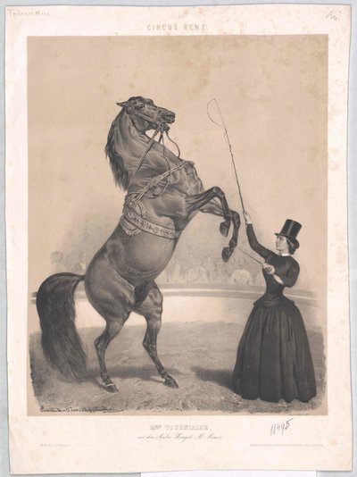 Tourniaire (circa 1860) by Artist Unknown