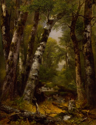 Woodland Glen by Asher B. Durand
