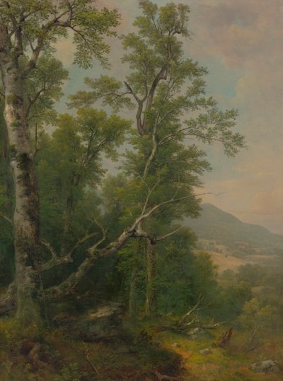 Study of Trees by Asher Brown Durand