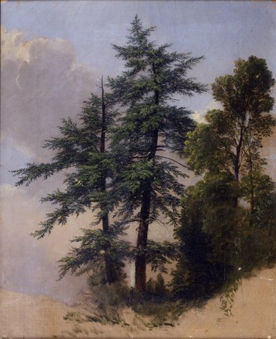 Tree Study, Newburgh, N.Y. by Asher Brown Durand