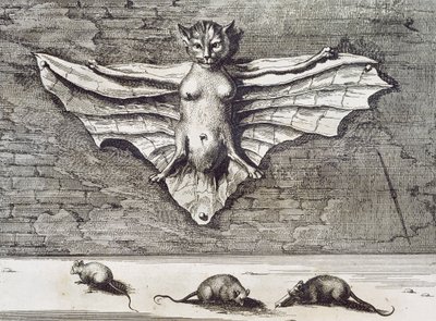 Cattus volans by Athanasius Kircher