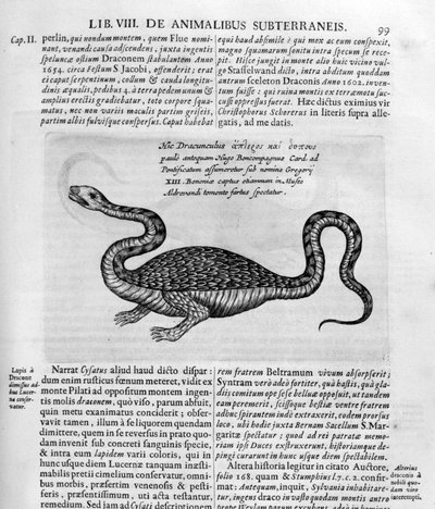 Small Dragon, 1678 by Athanasius Kircher