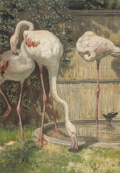 Three Flamingos at a Water Basin by August Allebe