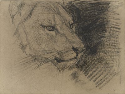 Head of a Lion by August Allebe