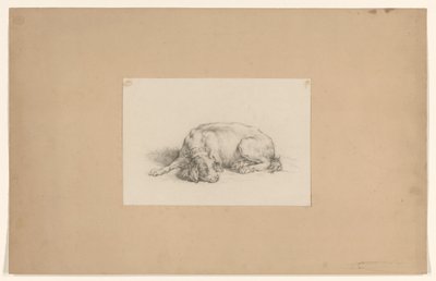 Lying Dog by August Allebe