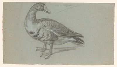 Sketch of a Stuffed Duck by August Allebe