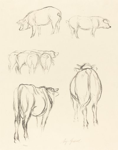 Animal Sketches by August Gaul