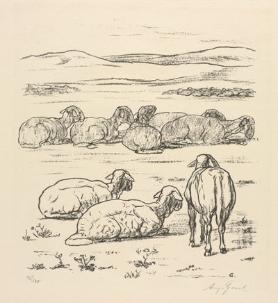 Sheep by August Gaul