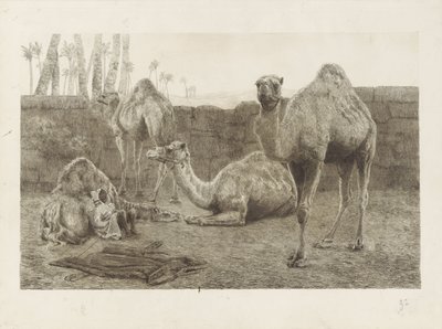 Camels by August Le Gras