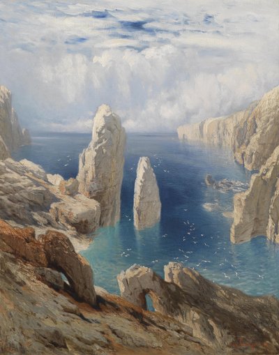 Steep Coast by August Schaeffer von Wienwald