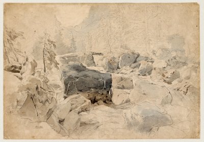 Mountain Stream by August Seidel