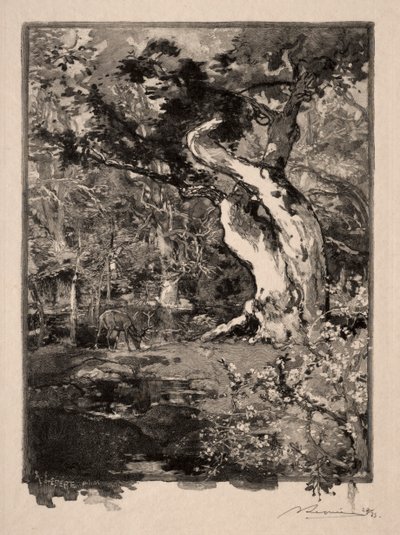 Le Clovis, Plateau de Bellecroix, 1890 by Auguste Louis Lepère