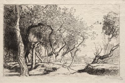 The Twisted Tree by Auguste Louis Lepère