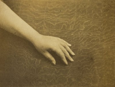 The Hand of Madame Hugo by Auguste Vacquerie