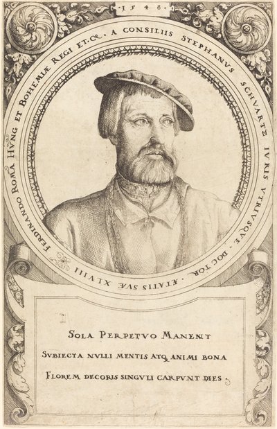 Doctor Stephen Schwartz, 1548 by Augustin Hirschvogel