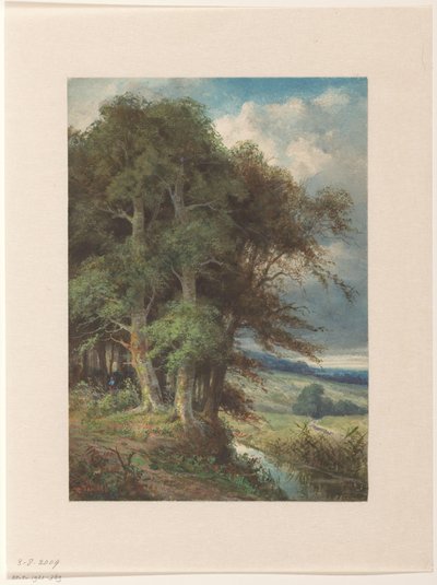 Tall Trees Along a Stream by Augustin Taurel