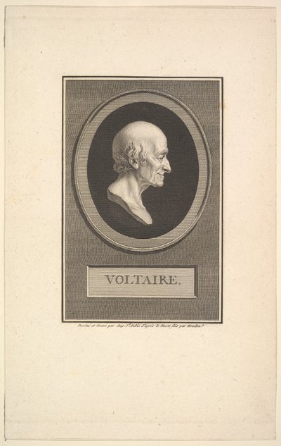 Portrait of Voltaire, 1801 by Augustin de Saint Aubin