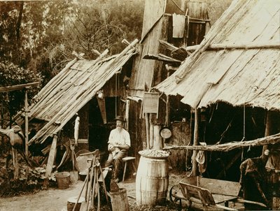 Australian prospector, c.1880s by Australian School