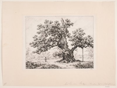 The Stork Oak, Jægerspris by Axel Schovelin