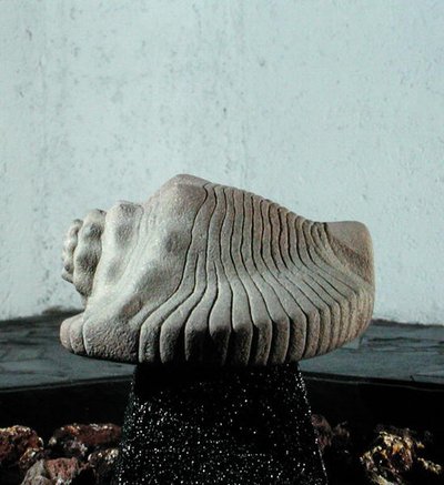 Sea Snail Shell, c.1500 by Aztec