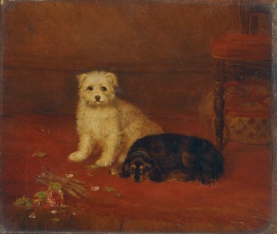 Bad and Bijou, 1844-1857 by BA Howe