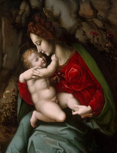 Madonna and Child by Bacchiacca