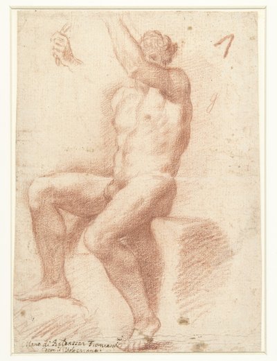 Study of a Male Nude Model by Baldassare Franceschini