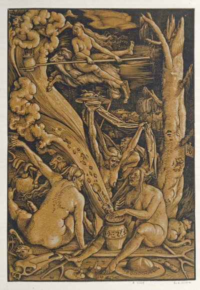 Witches by Baldung