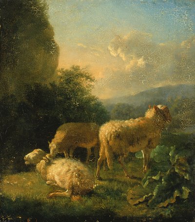 Sheep by Balthasar Paul Ommeganck