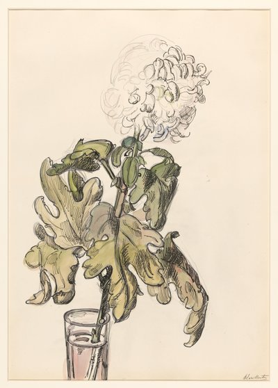 Blooming Chrysanthemum in a Vase by Barbara Elisabeth van Houten