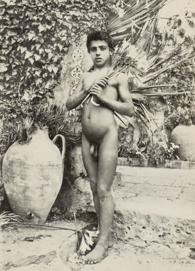 Boy in Garden by Baron Wilhelm von Gloeden
