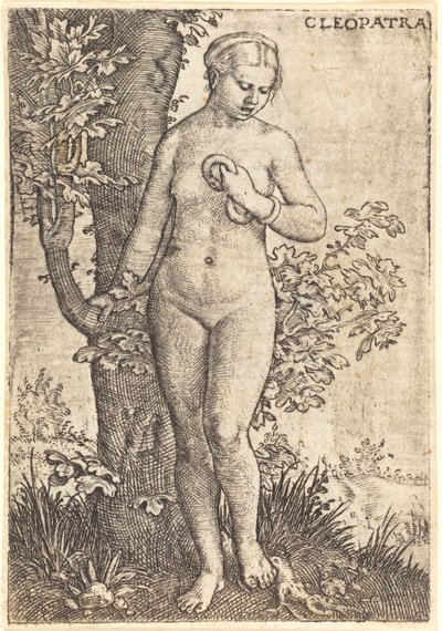 Cleopatra by Barthel Beham