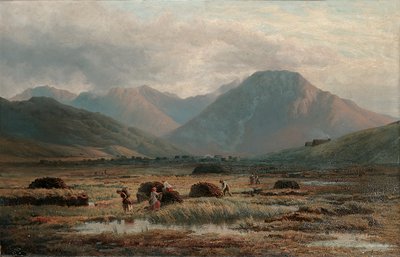 Peat Bog, Letterfrack, Connemara by Bartholomew Colles Watkins