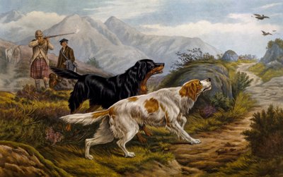 Grouse hunting by Basil Bradley