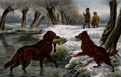 Wild duck hunting by Basil Bradley