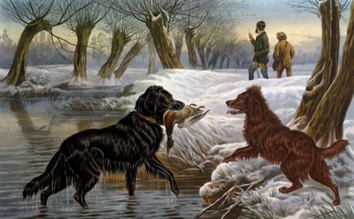 Wild duck hunting by Basil Bradley