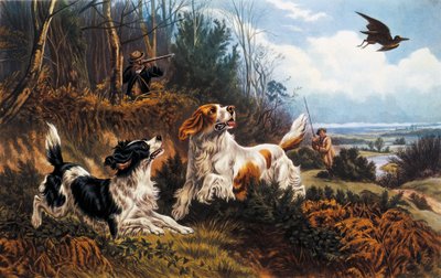 Woodcock hunting by Basil Bradley