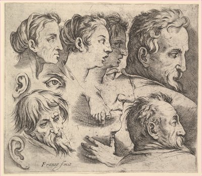 Studies of Heads by Battista Franco Veneziano