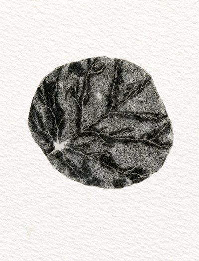 Leaf by Bella Larsson