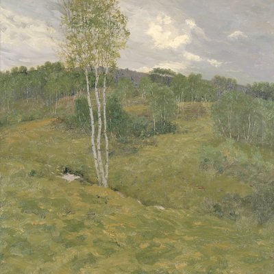 Birch-Clad Hills, ca. 1908 by Ben Foster