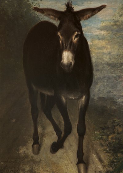 A Sicilian Ass by Benjamin Haydon