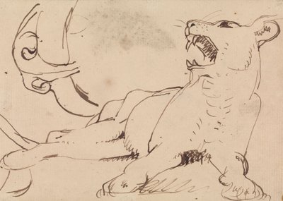 Study of a Lioness by Benjamin Robert Haydon