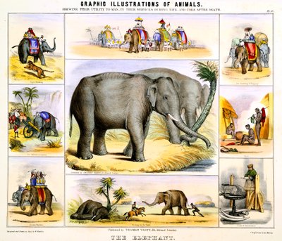 The Elephant, c1850 by Benjamin Waterhouse Hawkins