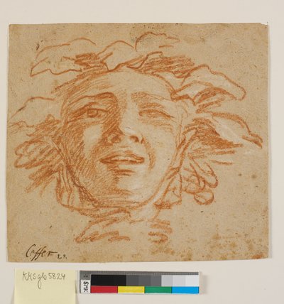 Face of a Faun? by Benoît Le Coffre