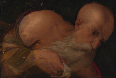 Portrait of a Man by Benvenuto Tisi da Garofalo